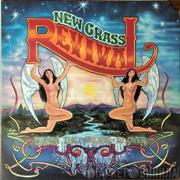 New Grass Revival  - When The Storm Is Over