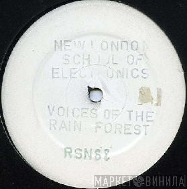 New London School Of Electronics - Voices Of The Rain Forest
