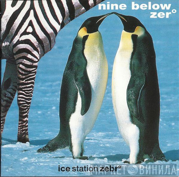 Nine Below Zero - Ice Station Zebr°
