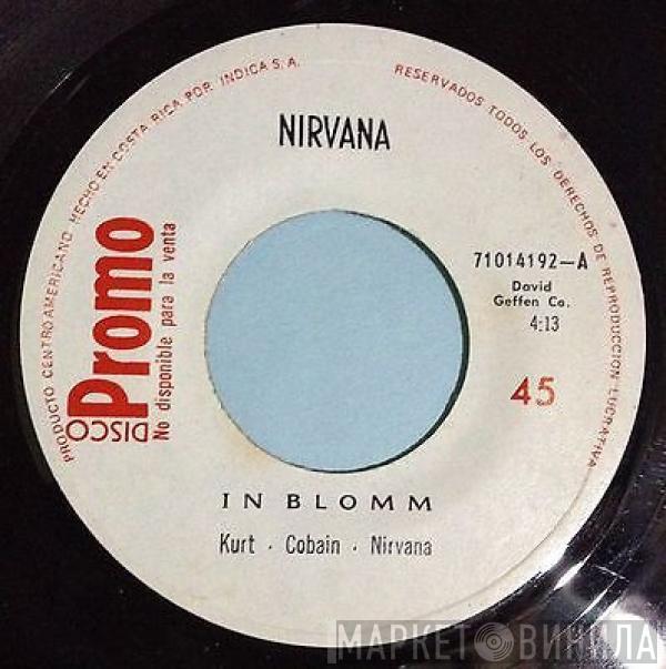 Nirvana  - In Bloom