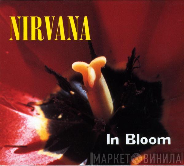 Nirvana - In Bloom