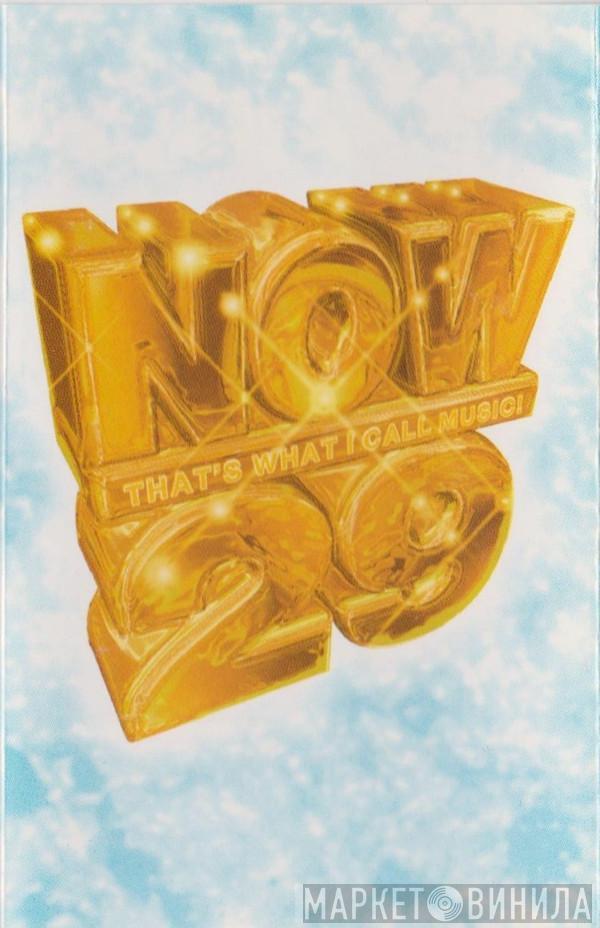  - Now That's What I Call Music 29