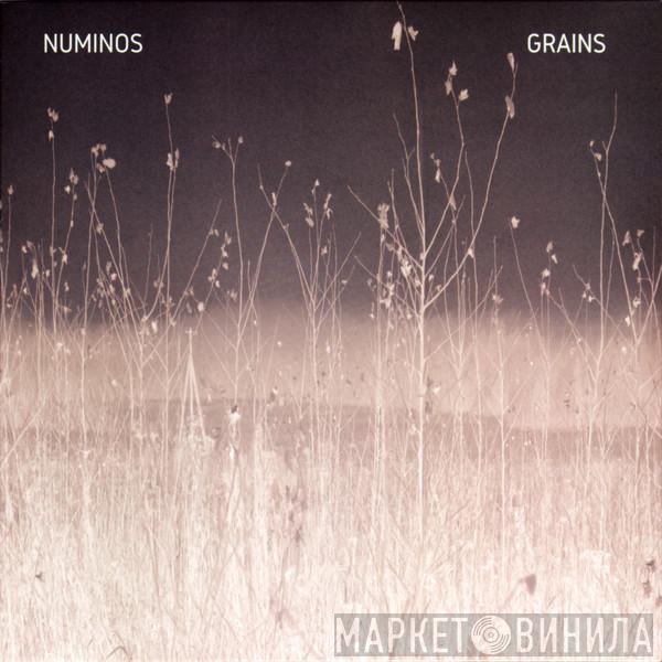 Numinos - Grains