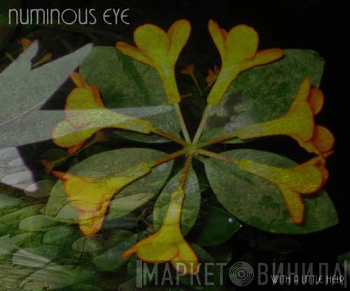 Numinous Eye - With A Little Help