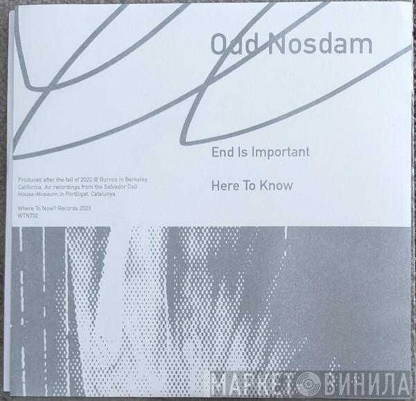Odd Nosdam - End Is Important