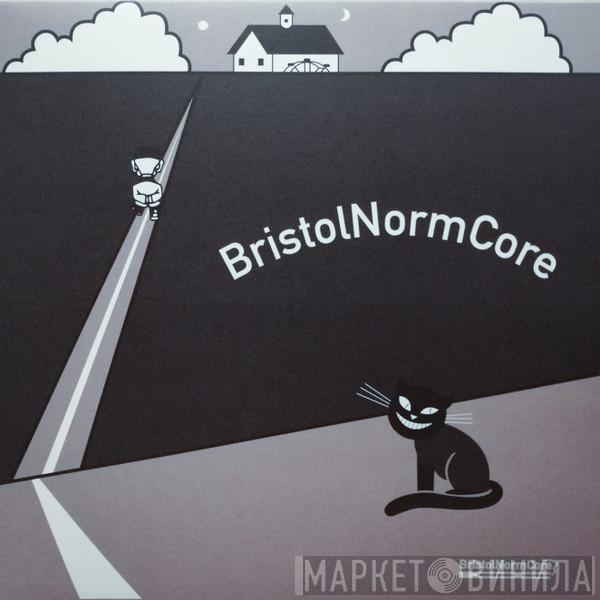 Odd Shy Guy, Rose Again - Bristol NormCore ep