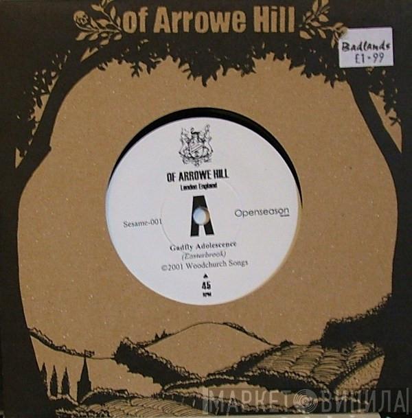 Of Arrowe Hill - Gadfly Adolescence