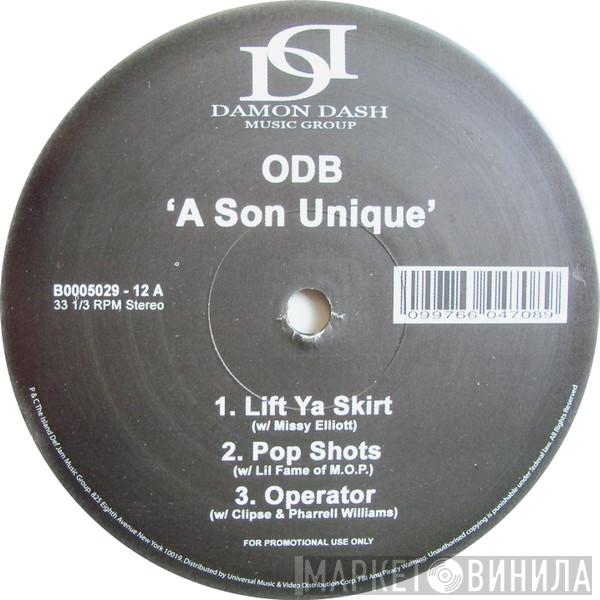  Ol' Dirty Bastard  - A Son Unique