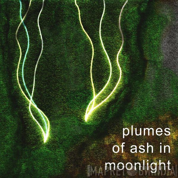 - Olie Brice - Tony Hardie - Bick - NO Moore - Ed Pettersen - Eddie Prévost  Ståle Liavik Solberg  - Plumes Of Ash In Moonlight