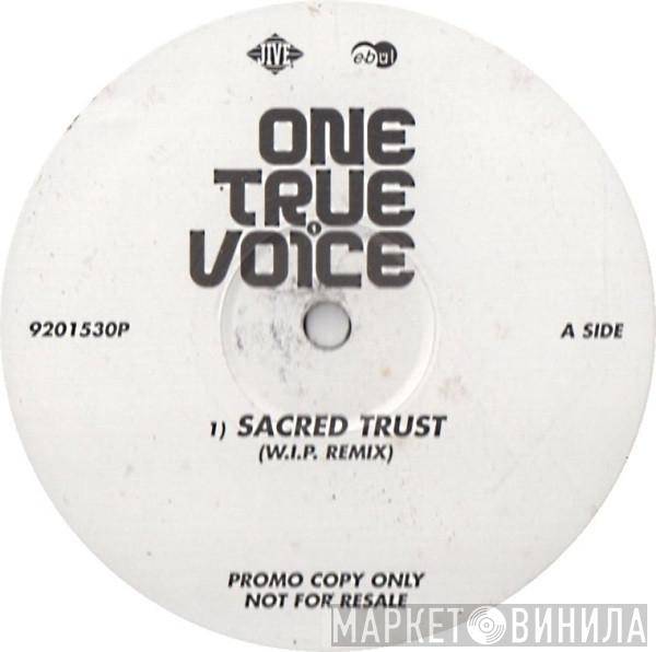 One True Voice - Sacred Trust / After You're Gone (I'll Still Be Loving You)