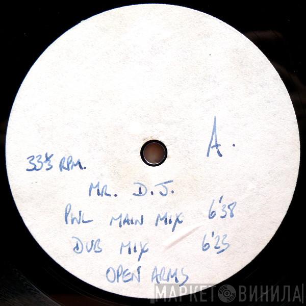  Open Arms  - Hey Mr DJ