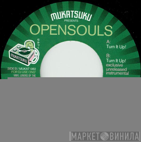 Opensouls - Turn It Up!