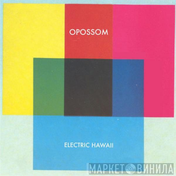 Opossom - Electric Hawaii
