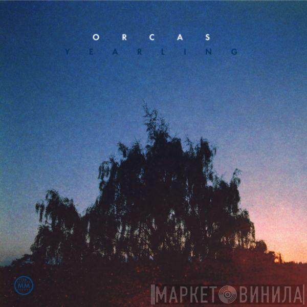  Orcas  - Yearling