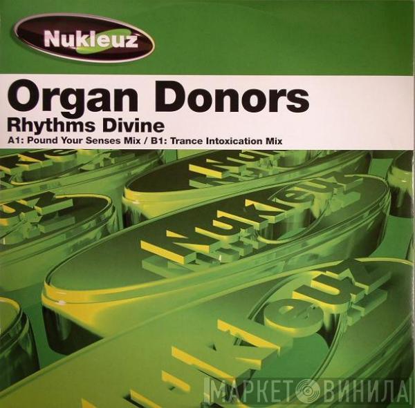  Organ Donors  - Rhythms Divine