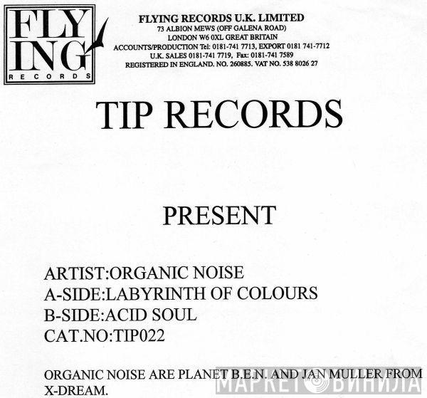 Organic Noise - Labyrinth Of Colours / Acid Soul