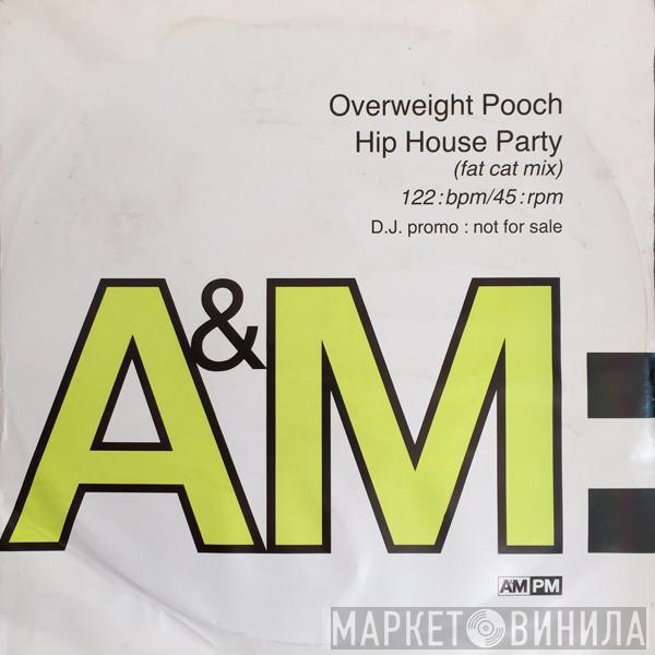 Overweight Pooch - Hip House Party