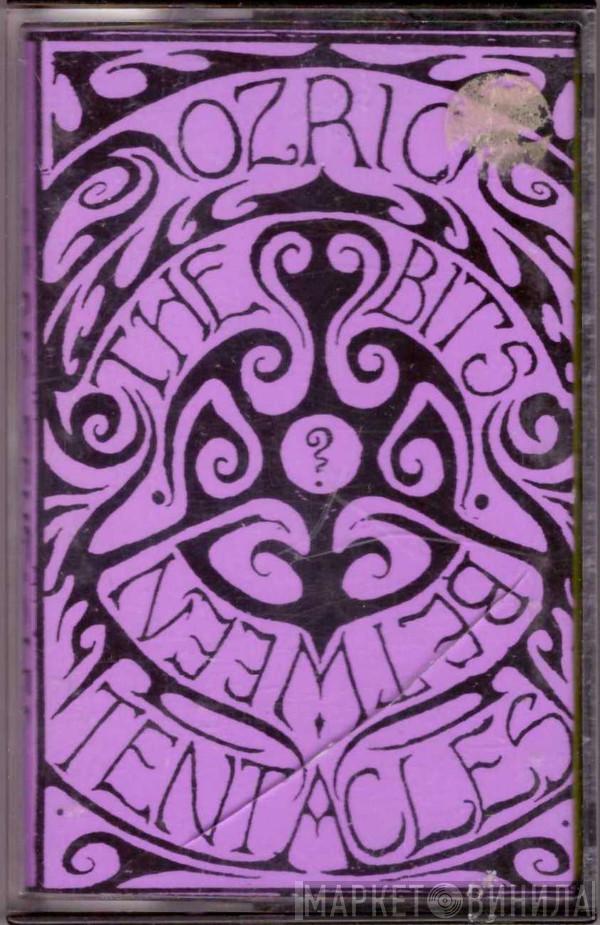  Ozric Tentacles  - The Bits Between The Bits