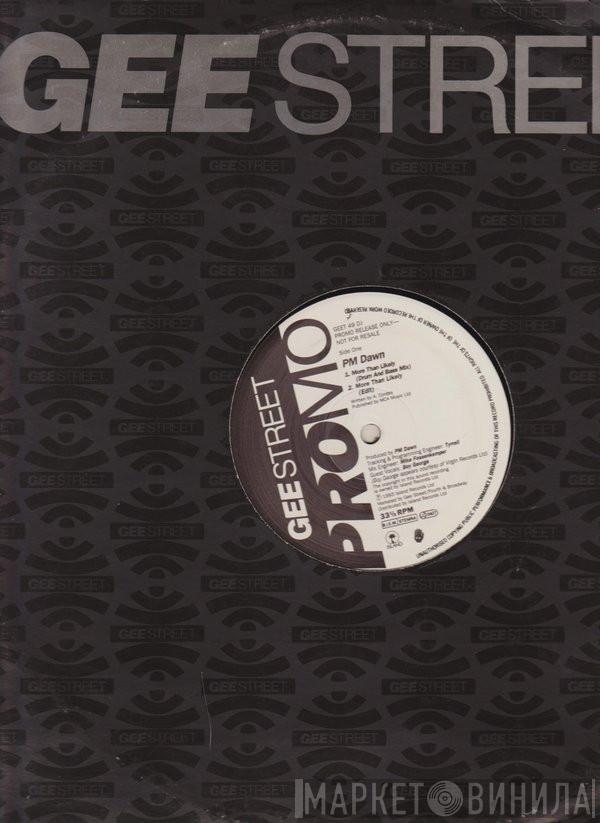  P.M. Dawn  - More Than Likely