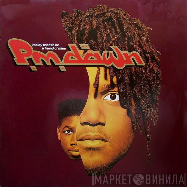 P.M. Dawn - Reality Used To Be A Friend Of Mine