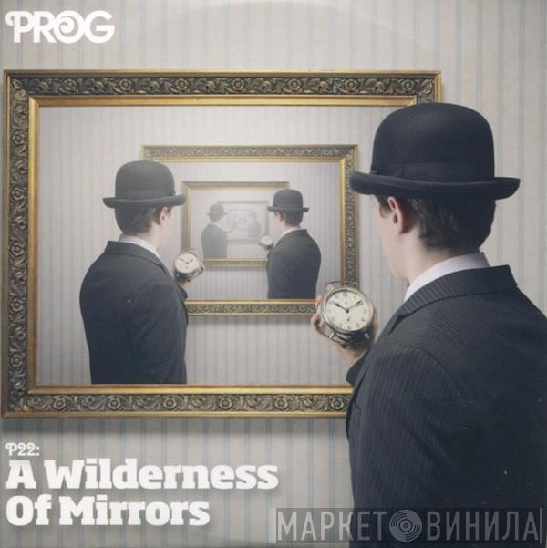  - P22: A Wilderness Of Mirrors