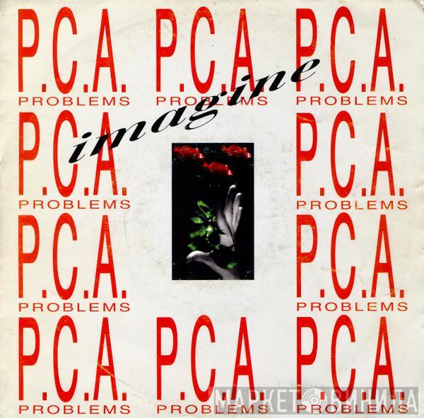 PCA Problems - Imagine