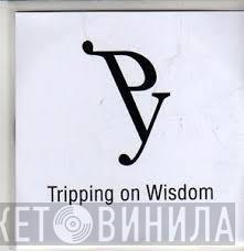 PY - Tripping On Wisdom