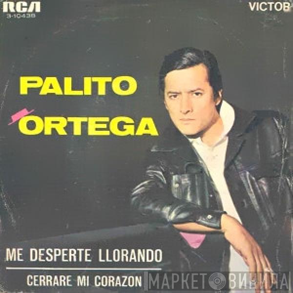 Palito Ortega - Me Desperté LLorando