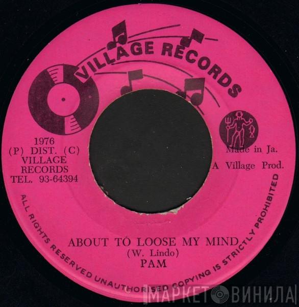  Pam Hall  - About To Loose My Mind