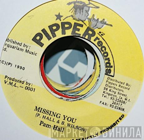  Pam Hall  - Missing You