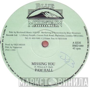  Pam Hall  - Missing You
