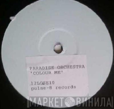  Paradise Orchestra  - Colour Me