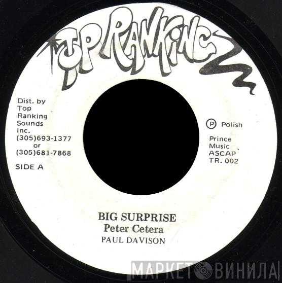 Paul Davidson - Big Surprise