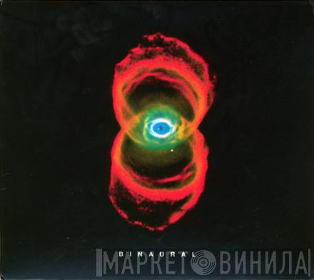  Pearl Jam  - Binaural