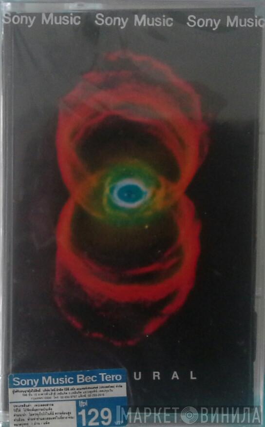  Pearl Jam  - Binaural