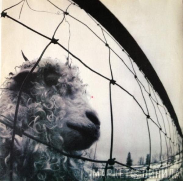  Pearl Jam  - Vs