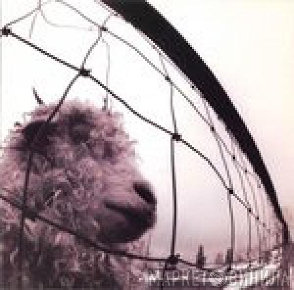  Pearl Jam  - Vs