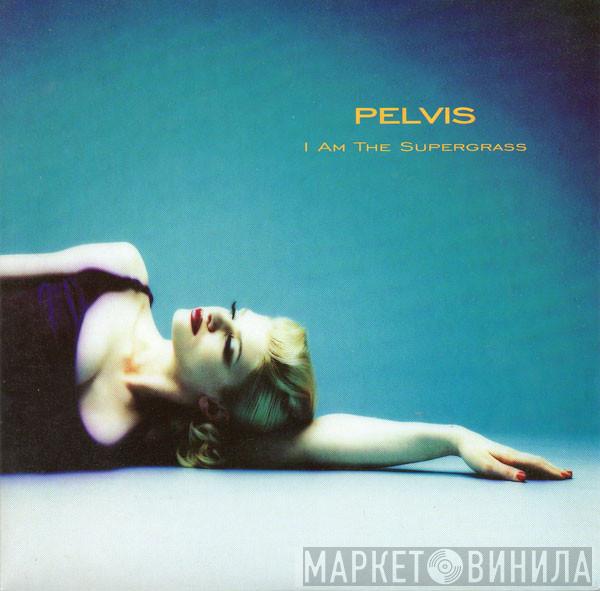 Pelvis - I Am The Supergrass