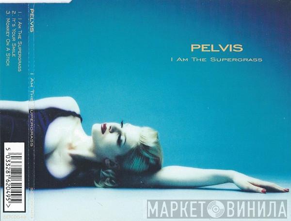 Pelvis - I Am The Supergrass