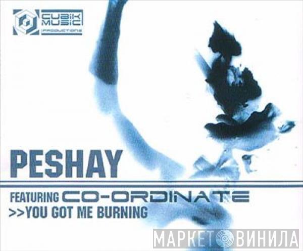 Peshay, Co-Ordinate - You Got Me Burning / Fuzion
