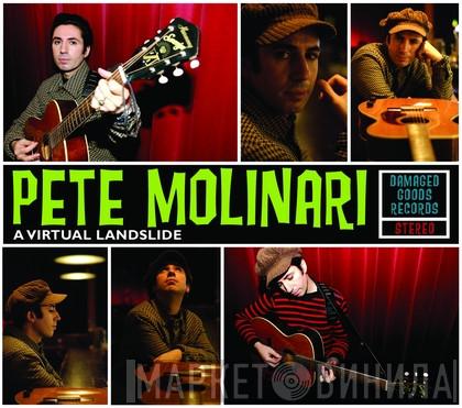 Pete Molinari - A Virtual Landslide