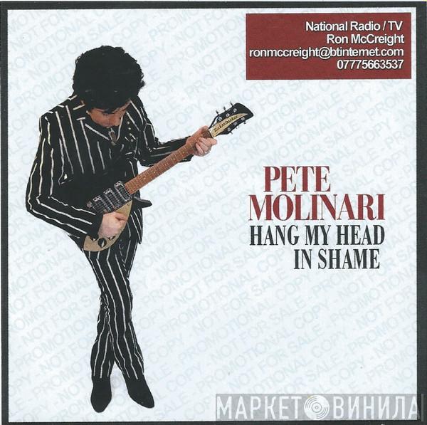 Pete Molinari - Hang My Head In Shame