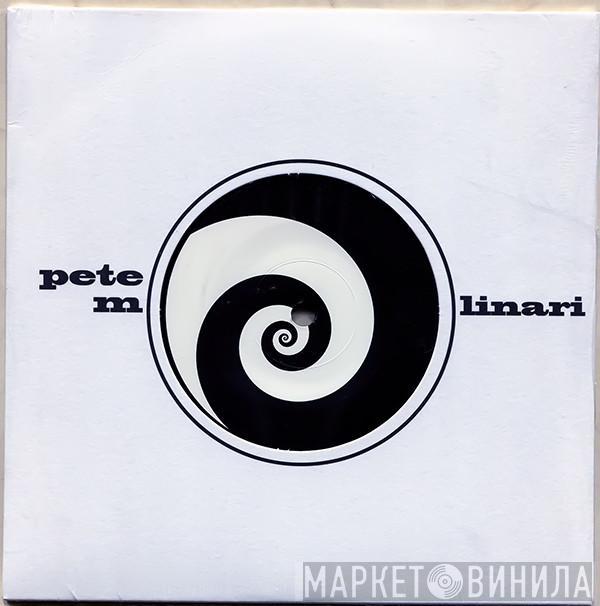 Pete Molinari - Look To The Wind