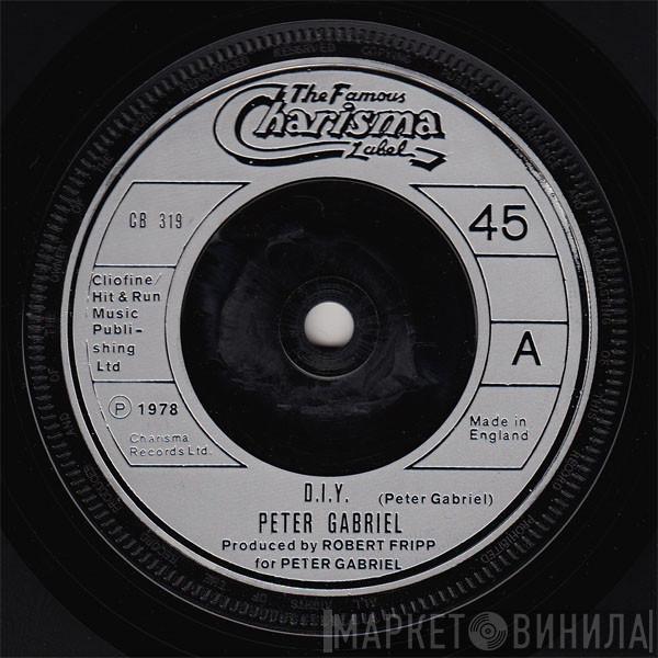 Peter Gabriel - D.I.Y.