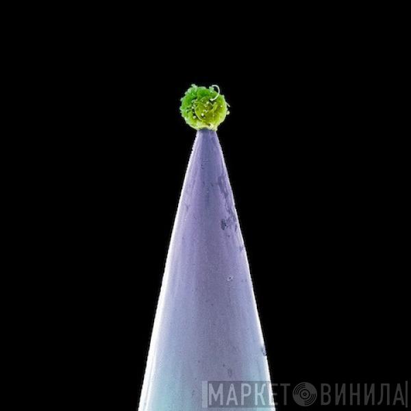  Peter Gabriel  - New Blood