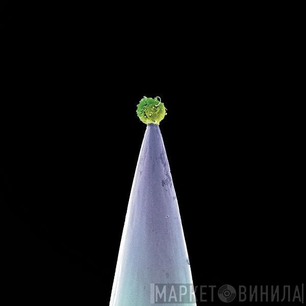  Peter Gabriel  - New Blood