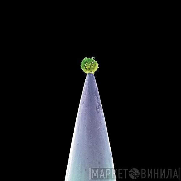  Peter Gabriel  - New Blood