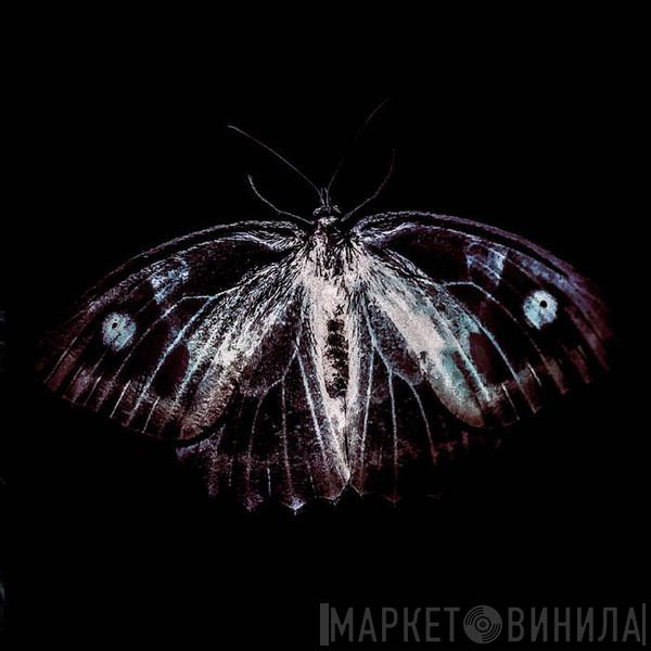 Phill Niblock, Franck Vigroux, Kasper T Toeplitz - BestiaIRE