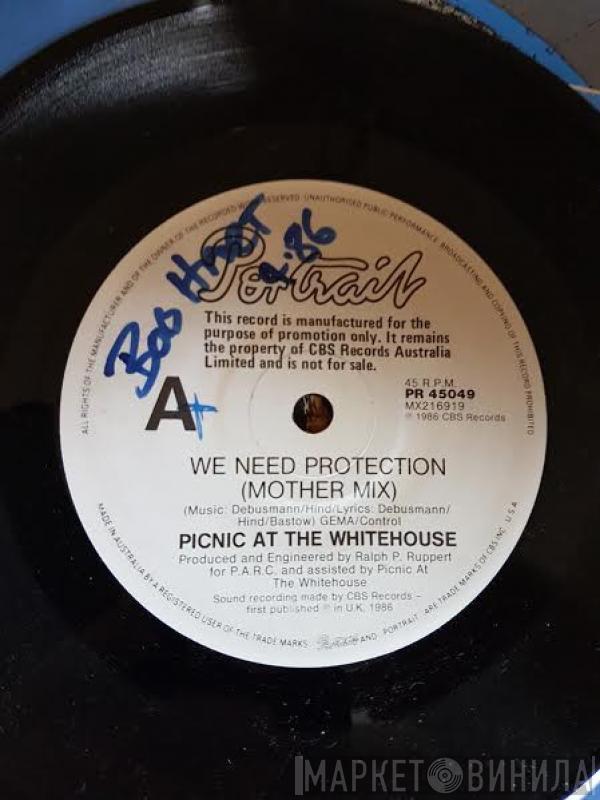  Picnic At The Whitehouse  - We Need Protection