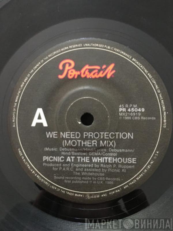  Picnic At The Whitehouse  - We Need Protection